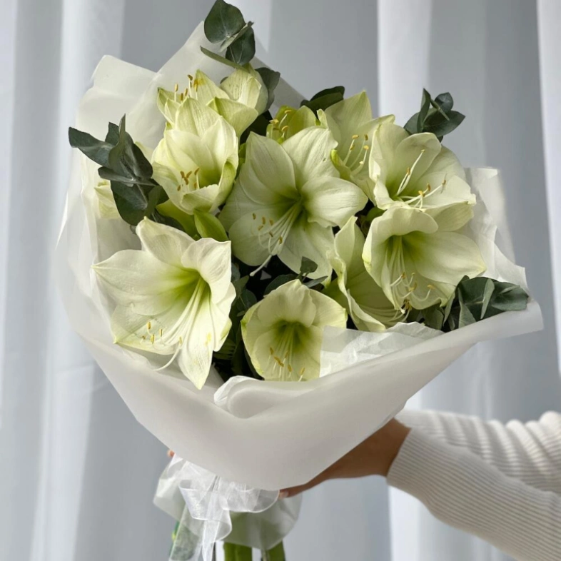 Моно букет с Амариллисами