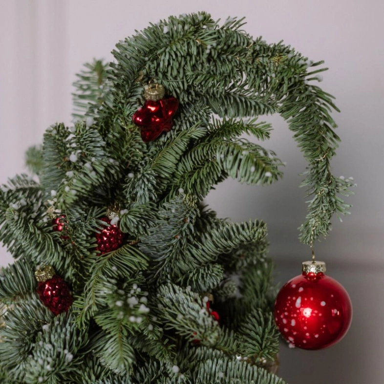 Стильная елочка из нобилиса (голубая ель)