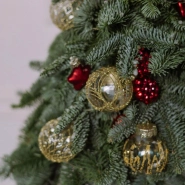 Стильная елочка из нобилиса (голубая ель) 3