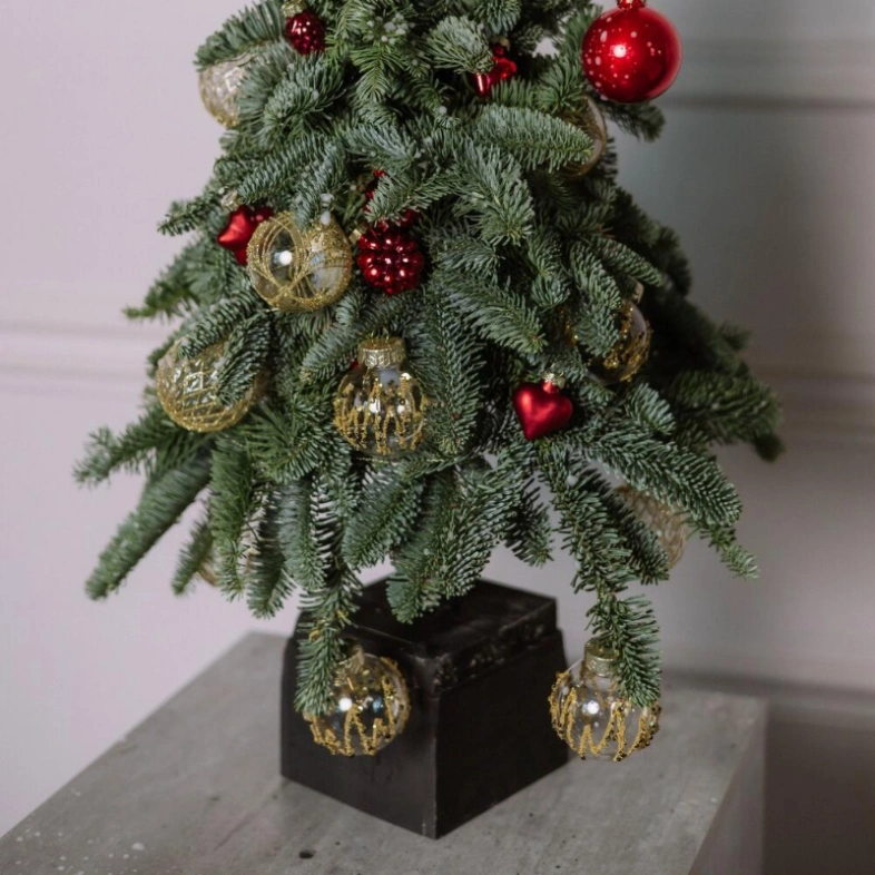 Стильная елочка из нобилиса (голубая ель)