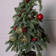 Стильная елочка из нобилиса (голубая ель) 1