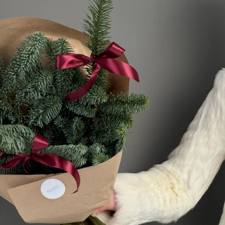 Новогодний букет из нобилиса🎄