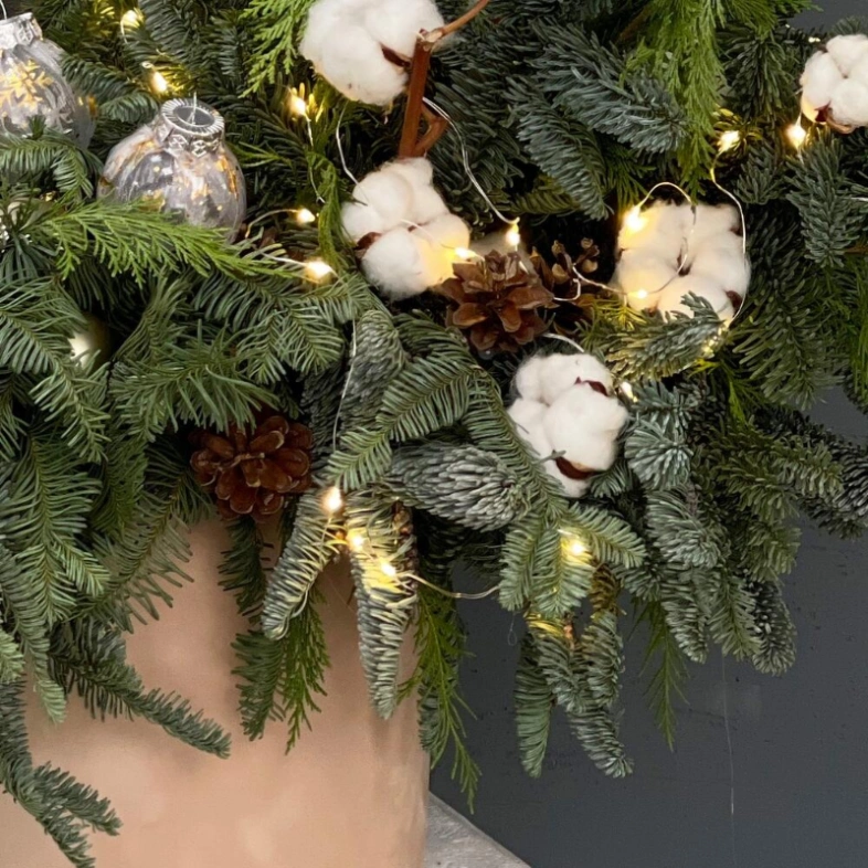 Композиция из нобилиса «Новый год»