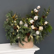 Композиция из нобилиса «Новый год» 0