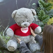 Плюшевый медведь Love 0