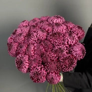 ГИГАНТ ИЗ ХРИЗАНТЕМЫ «БИГУДИ» 3