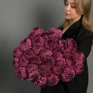 ГИГАНТ ИЗ ХРИЗАНТЕМЫ «БИГУДИ» 1