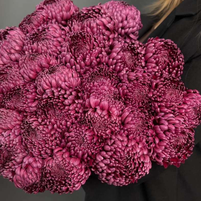 ГИГАНТ ИЗ ХРИЗАНТЕМЫ «БИГУДИ»