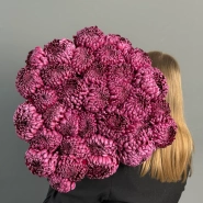 ГИГАНТ ИЗ ХРИЗАНТЕМЫ «БИГУДИ» 0