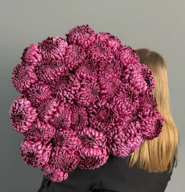 ГИГАНТ ИЗ ХРИЗАНТЕМЫ «БИГУДИ»