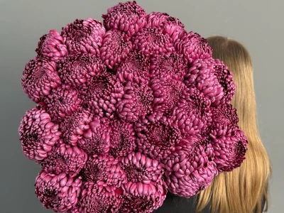 ГИГАНТ ИЗ ХРИЗАНТЕМЫ «БИГУДИ»