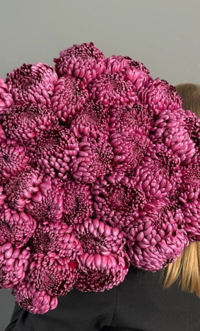 ГИГАНТ ИЗ ХРИЗАНТЕМЫ «БИГУДИ»