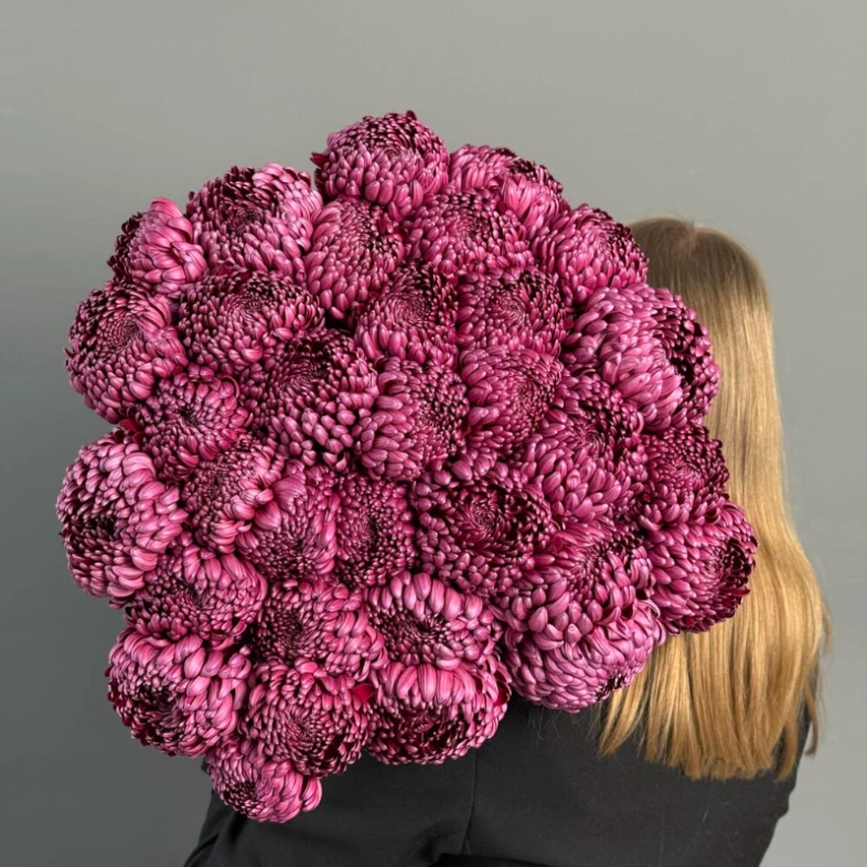 ГИГАНТ ИЗ ХРИЗАНТЕМЫ «БИГУДИ»