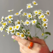 Кольцо Оранж🧡 2