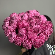 Моно из хризантемы бигуди под ленту 1