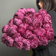 Моно из хризантемы бигуди под ленту 0