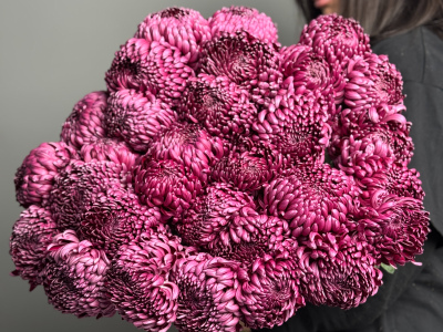 Моно из хризантемы бигуди под ленту