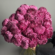 Моно из хризантемы бигуди под ленту 4