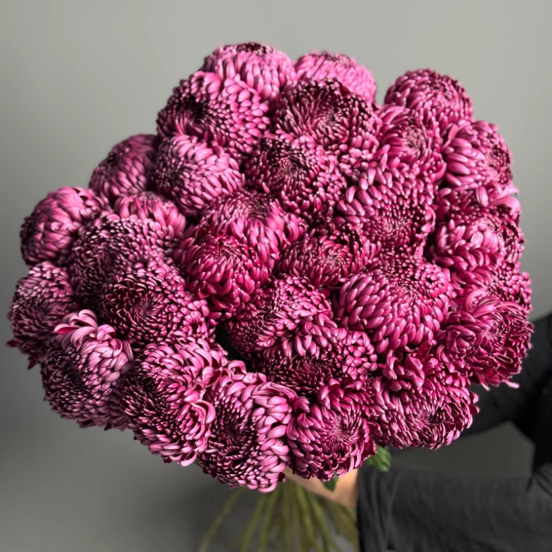 Моно из хризантемы бигуди под ленту