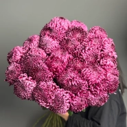 Моно из хризантемы бигуди под ленту 2