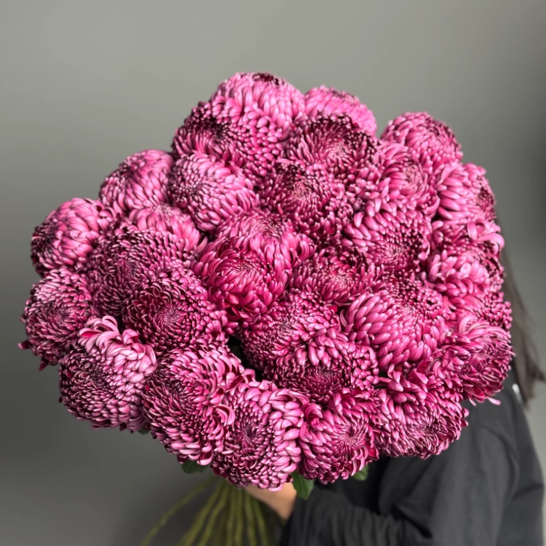 Моно из хризантемы бигуди под ленту