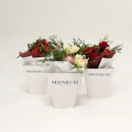 Зимний букет с амариллисом, хвоей и протеей 3