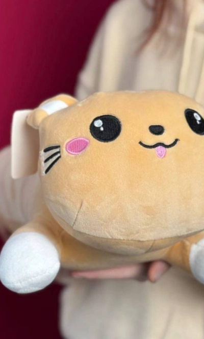 Игрушка котик - подушка