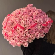 101 Парфюмированная роза Pink O Hara 1