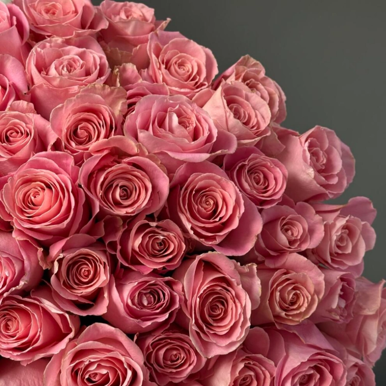 101 Премиальная роза Hermosa