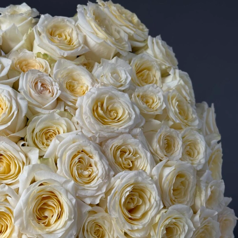 101 Ароматная роза Candelight