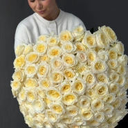 101 Ароматная роза Candelight 1