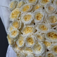 101 Ароматная роза Candelight 3