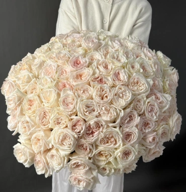 101 одноголовая роза White O Hara