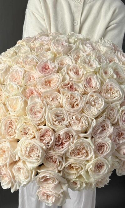 101 одноголовая роза White O Hara