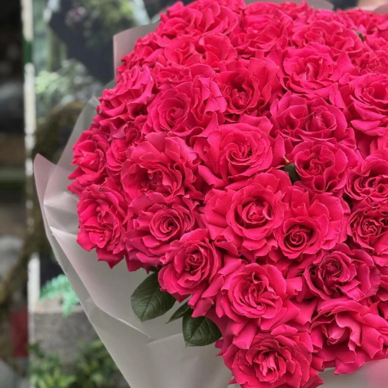 Яркое моно из роз 71