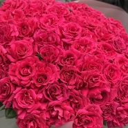 Яркое моно из роз 71 3