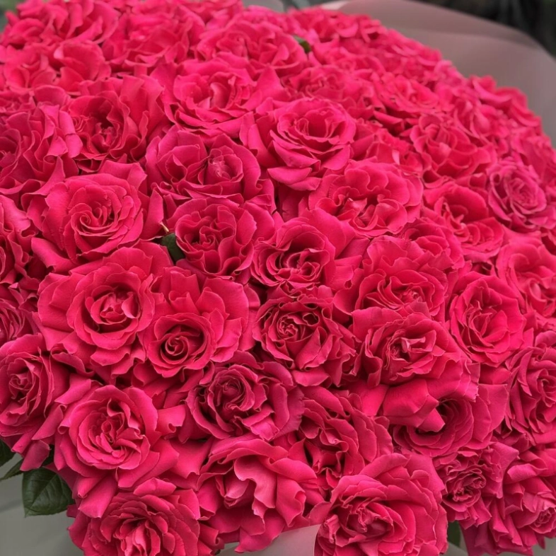 Яркое моно из роз 71