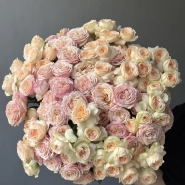 Кустовые пионовидные розы 25 0