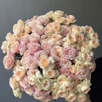 Кустовые пионовидные розы 25