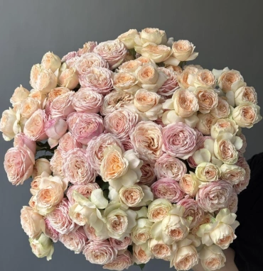 Кустовые пионовидные розы 25