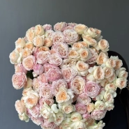 Кустовые пионовидные розы 25 4