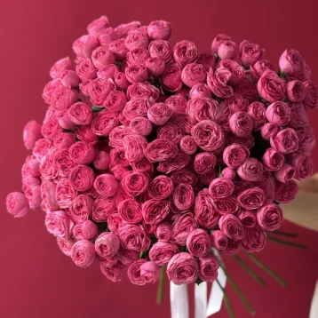 Кустовые розы Giselle 29