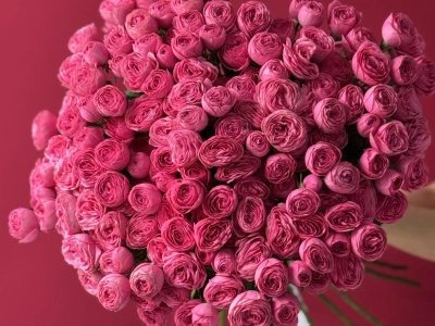 Кустовые розы Giselle 29