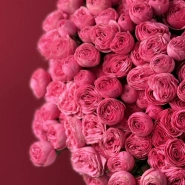 Кустовые розы Giselle 29 1