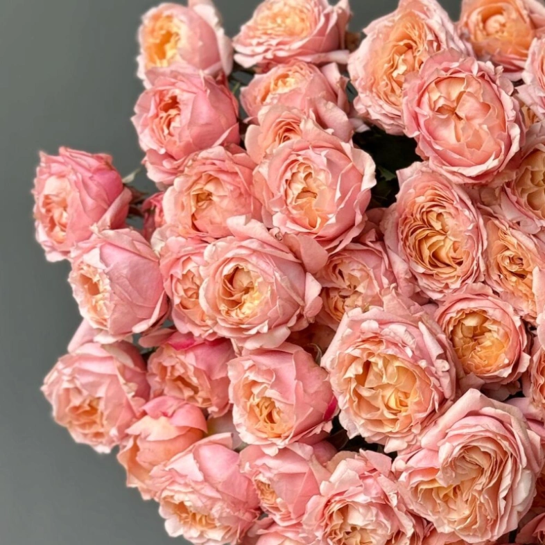 Кустовые розы Джульетта в монобукете