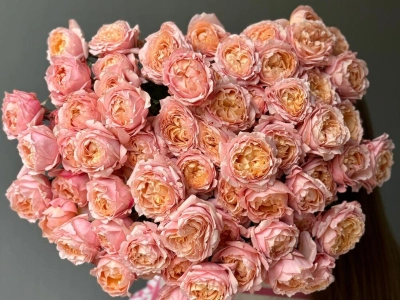 Кустовые розы Джульетта в монобукете