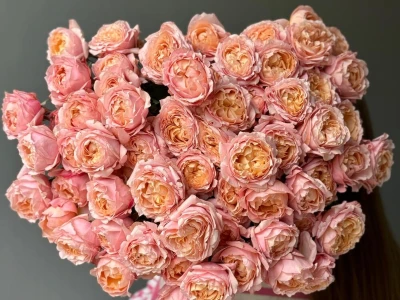 Кустовые розы Джульетта в монобукете