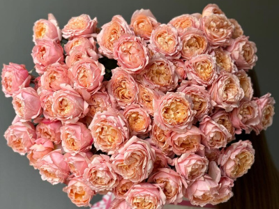 Кустовые розы Джульетта в монобукете