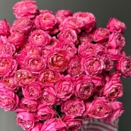 Кустовые пионовидные розы Джульетта в монобукете 1