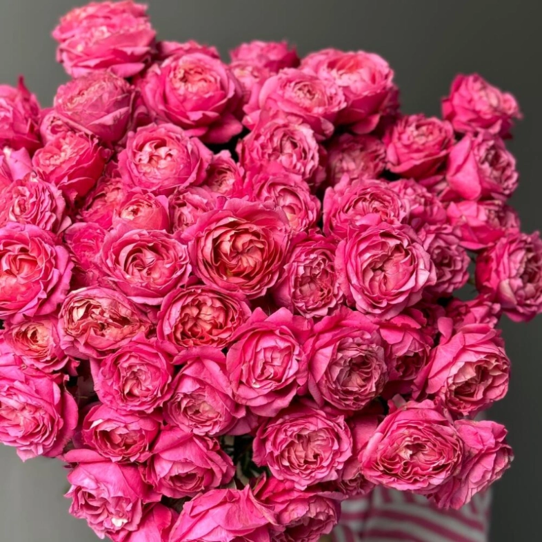 Кустовые пионовидные розы Джульетта в монобукете